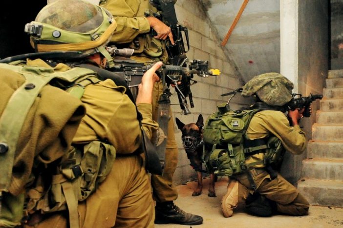 Israel insists on keeping troops in Gaza. That complicates truce talks with Hamas ChameleonsEye / Shutterstock
