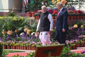 Beyond tariffs: President Trump's targeting of India can harm bilateral ties shutterstock - Madhuram Paliwal