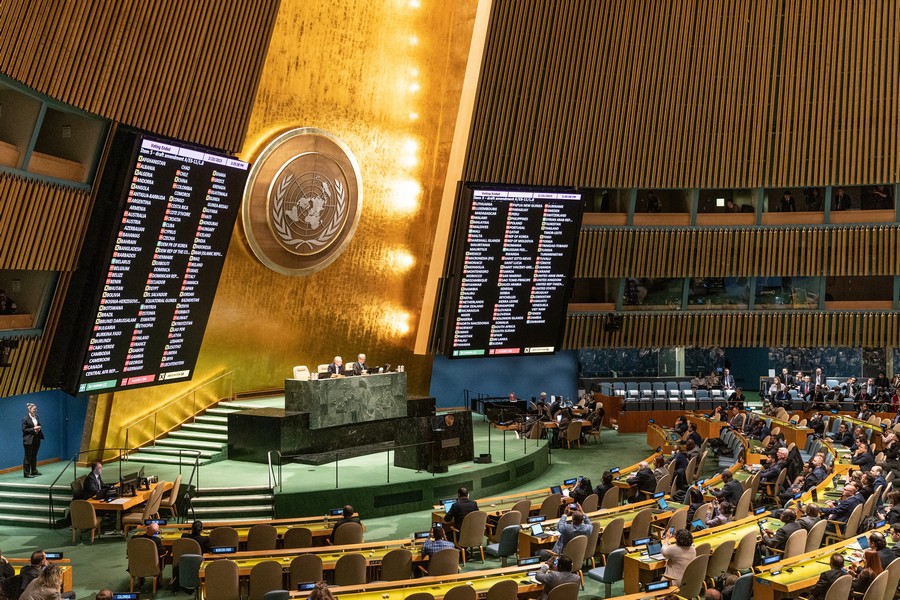 Western nations push for ‘Palestine’ at UN, Israeli experts urge strong response shutterstock - lev radinlev radin